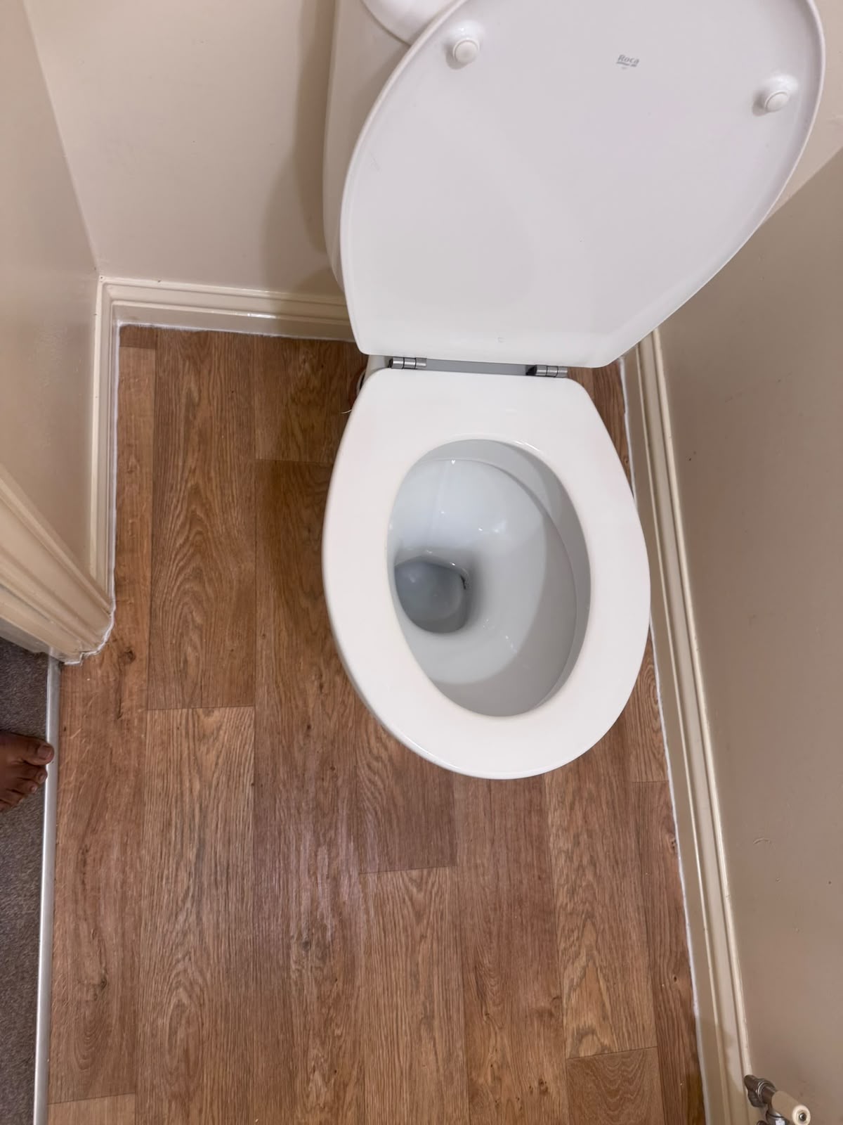 Cleaned toilet and wood-effect floor