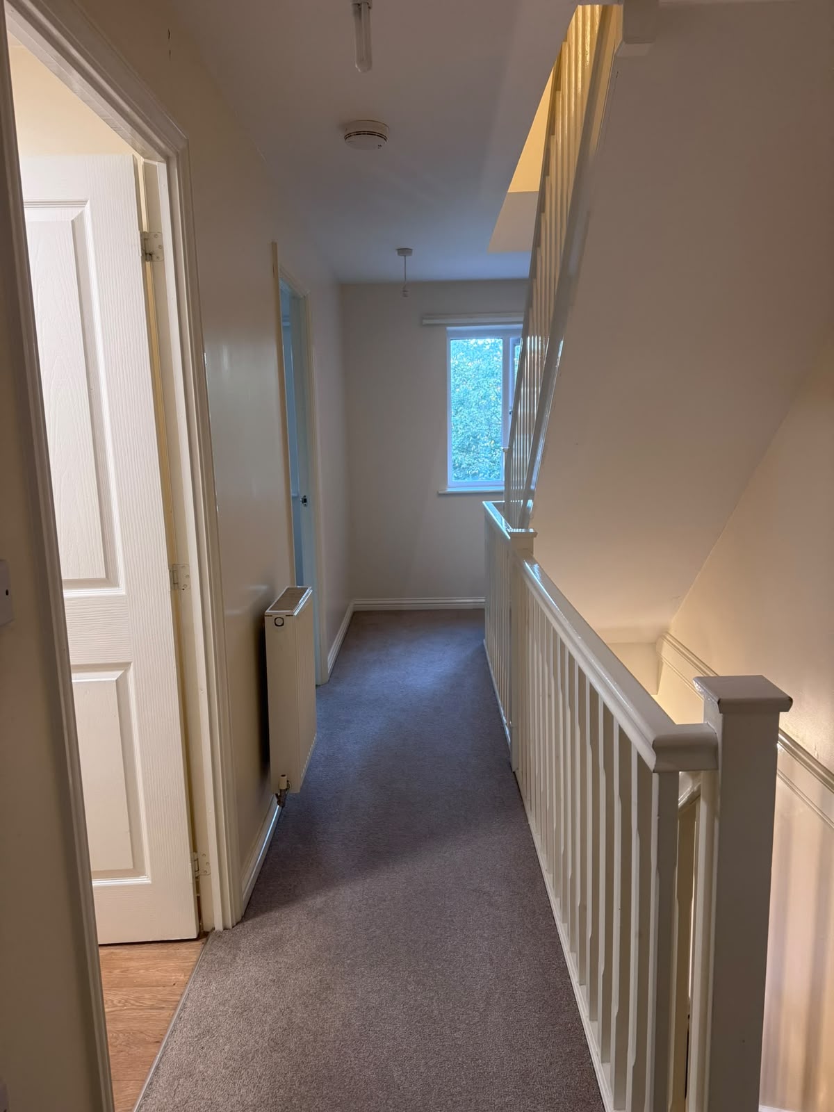 Cleaned landing and stairway carpet